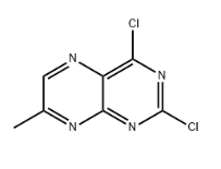 2,4-DICHLORO-7-METHYLTERIDINE