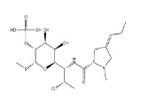 3'-6'-Dehydro Clindamycine 2-Fosphaat